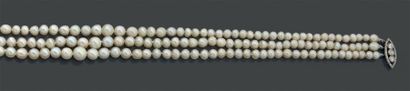 null Collier composé de 3 rangs de 67, 67 et 68 perles supposées fines - non testées...