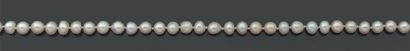 null Collier composé de 75 perles fines. Fermoir baton en or Poids brut: 16.56 Accompagné...