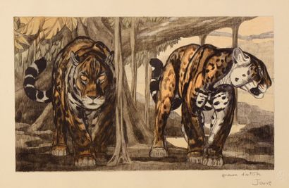 Paul JOUVE (1878-1973) «Les deux Jaguars» Lithographie originale en couleur. Epreuve...