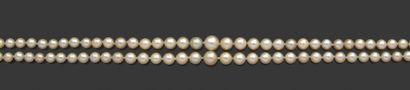 null Collier composé de deux rangs de 79 perles fines et 82 perles de culture en...