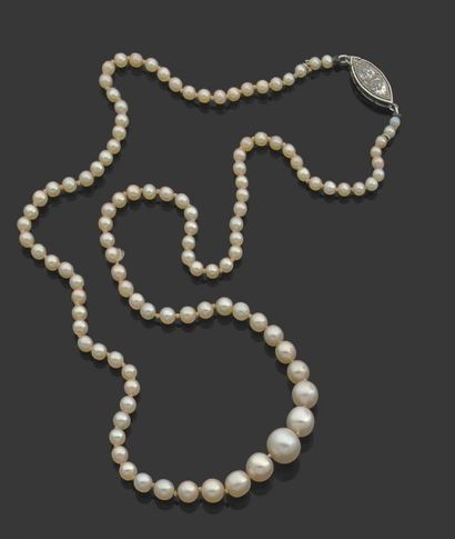 null Collier composé de 108 perles fines et 4 perles de cultures en chute. Fermoir...