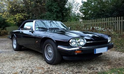 1993 - Jaguar XJS V12 Cabriolet «Une XJS V12 à découvrir...» La Jaguar XJ-S a la...
