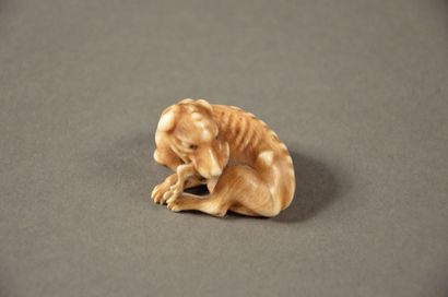 JAPON Nestuké en ivoire sculpté représentant un chien efflanqué Signé Fin Meiji H:...