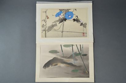 JAPON Ensemble comprenant une: -Aquarelle sur soie représenant deux poissons Koi...