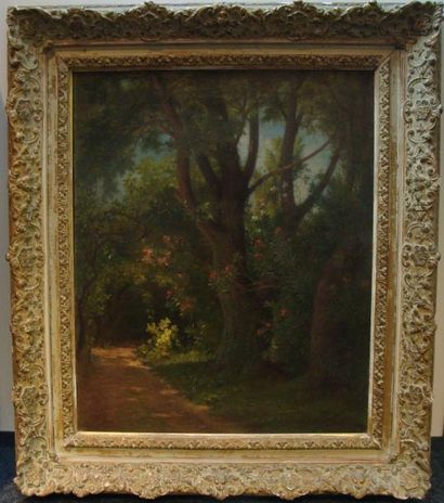 Victor Emmanuel GENSOLLEN (né en 1859) Chemin boisé Huile sur toile, signée en bas...
