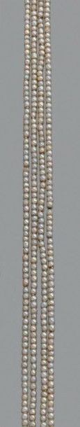 null Sautoir de petites perles fines - non testées. Long.: 110 cm env.