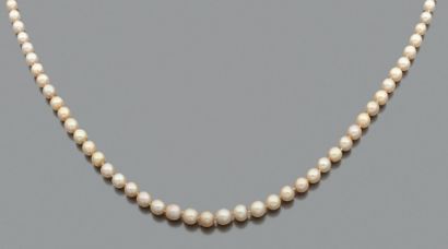 null Collier composé de 52 perles fines en chute. Fermoir en or gris 18k serti de...