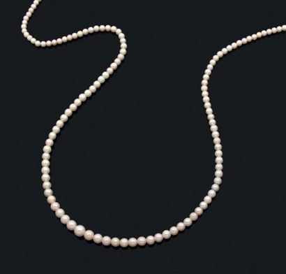 Sautoir composé de 127 perles fines en chute. Fermoir baton en or jaune Poids brut:...
