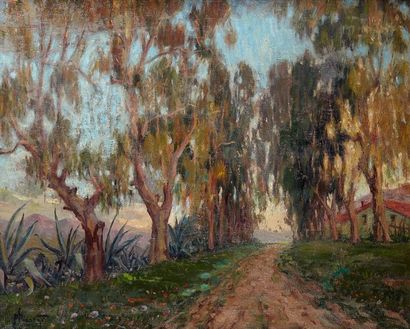 Paul NICOLAÏ (1876-1952) Allée d'eucalyptus et d'Aloès, Cavignac, 1941
Huile sur...