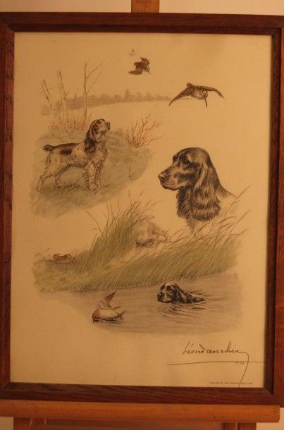 Danchin (d'après) « Chiens de chasse » 2 tirages.Sous verre.Cadres en bois.35,5 x...