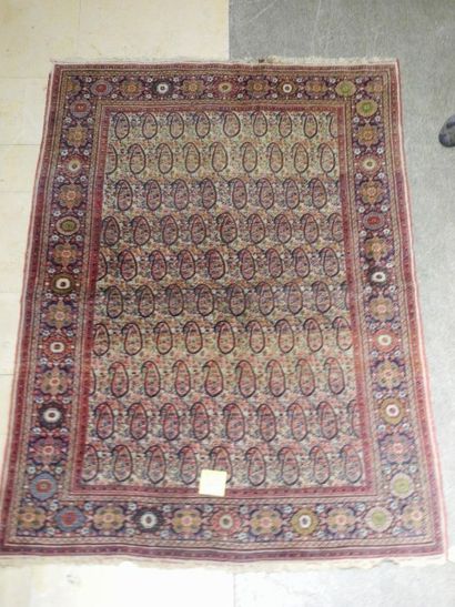 null TABRIZ (Nord ouest de la Perse) Fin tapis à décor de semis de botehs sur fond...