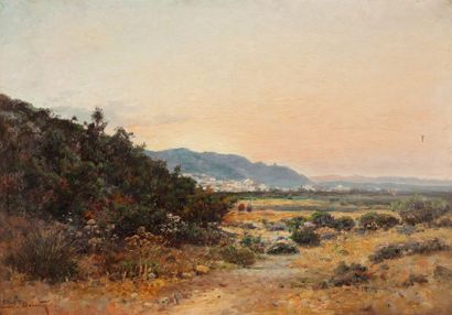 Emile BOIVIN (1846-1914) 
Plaine d'Hamman-Lif, Tunisie
Huile sur toile, signée en...