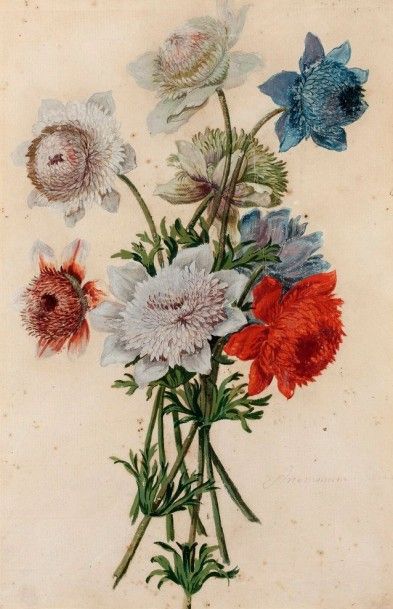 Ecole française du XVIIIème siècle D'après Nicolas ROBERT (1614-1685) 
Paire de bouquets:...