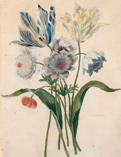 Ecole française du XVIIIème siècle D'après Nicolas ROBERT (1614-1685) 
Paire de bouquets:...