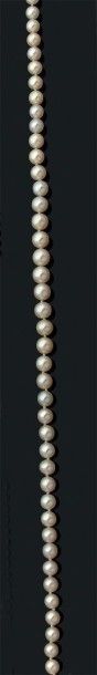 Collier composé d'une chute de 85 perles...