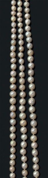 null Collier composé de trois rangs de 59, 60 et 59 perles supposées fines non testées....