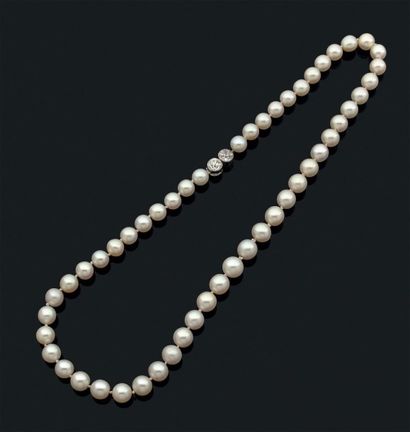 COLLIER 
Composé de 51 perles fines en chute. Fermoir en or gris serti de deux diamants...