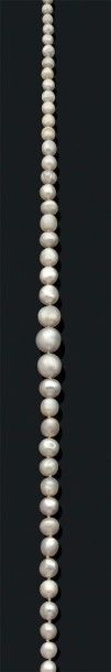null Collier composé d'un rang de 72 perles fines en chute de forme baroque. Fermoir...