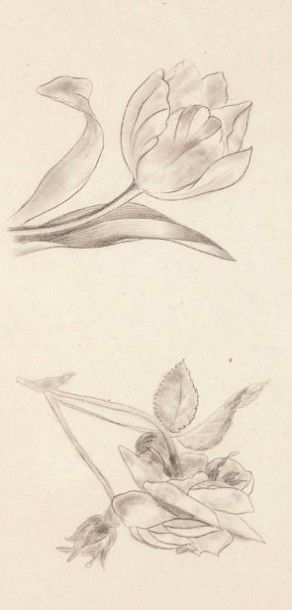 Ernestine PANCKOUCKE (1784-1860)Attribuée à 
Etudes de fleurs
Aquarelle sur papier,...