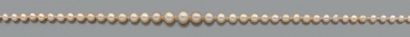 Collier composé de 141 perles supposées fines
-...