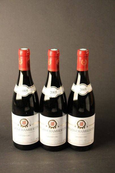 null 3 B MAZIS CHAMBERTIN (Grand Cru) Harmand-Geoffroy 2005