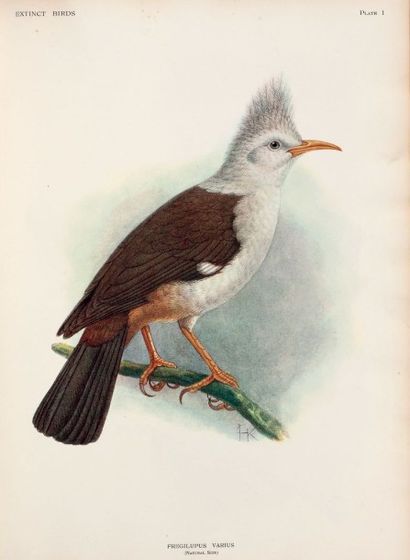 ROTSCHILD Lionel Walter Extinct Birds.
An attempt to unite in one volume a short...