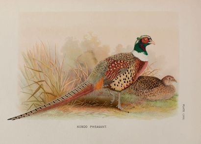 BEEBE William A Monograph of the Pheasants
London: Witherby for the New York Zoological...