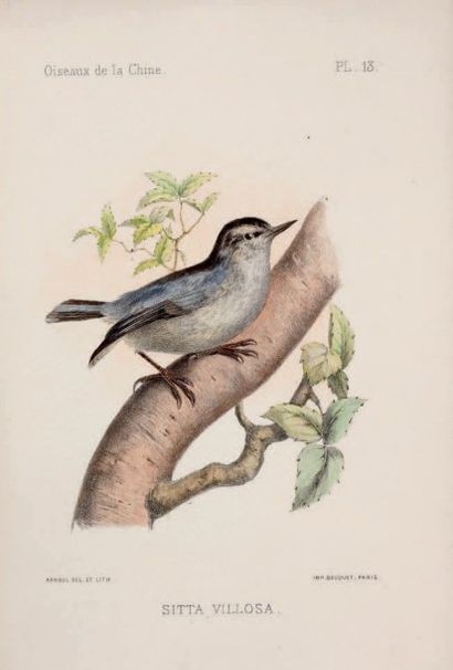 DAVID Armand & OUSTALET, E. Les oiseaux de la Chine
P. Masson 1877. 2 vol. in-8;...