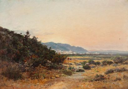Emile BOIVIN (1846-1914) 
Plaine d'Hamman-Lif, Tunisie
Huile sur toile, signée en...