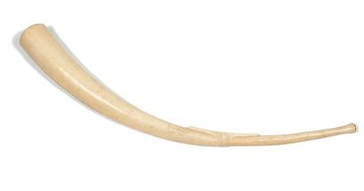 Zande. (R.D. du Congo) Ivoire. L.: 108 cm Important oliphant suivant la courbe naturelle...