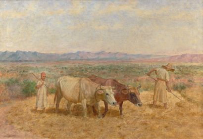 Lewis SHONBORN (1852-1931) Les moissons dans les Hauts-Plateaux en Algérie
Huile...