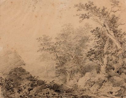 Honoré FRAGONARD (Grasse, 1732-Paris, 1806) Etude de paysage
Pierre noire
H. 24,5;...