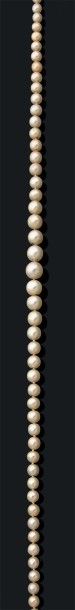 Collier composé de 57 perles fines et 4 perles...