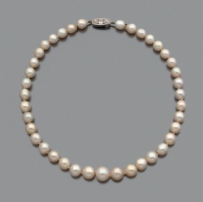 IMPORTANT COLLIER 
composé de 39 perles fines en chute. Fermoir en or gris serti...