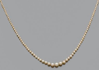 null Collier composé de 125 perles supposées fines - non testées en chute.
Diam:...