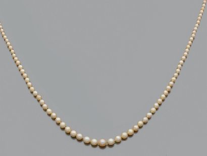 null Collier composé de 114 perles fines et 1 perle de culture en chute. Fermoir...