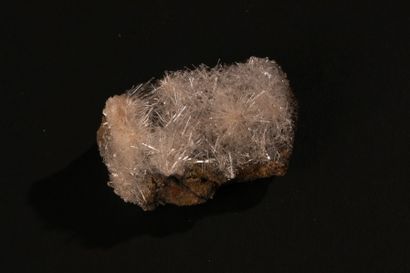 null Adorable cristalisation de gypse (microminéralogie) 

Provenance : Mine de la...