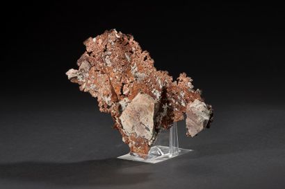 null Cuivre natif d’Arizona 

Provenance : Mine de Ray, Etats Unis 

H :3.3 cm; L...