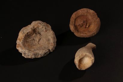 null Ensemble de 3 cnidaires fossilisées

H : 6; Dia : 7cm

H : 5.5; Dia : 8cm

H...