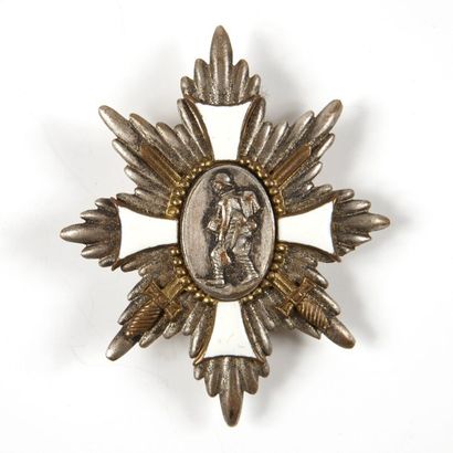 null Allemagne Médaille commémorative des troupes d'assaut. Métal argenté, doré,...
