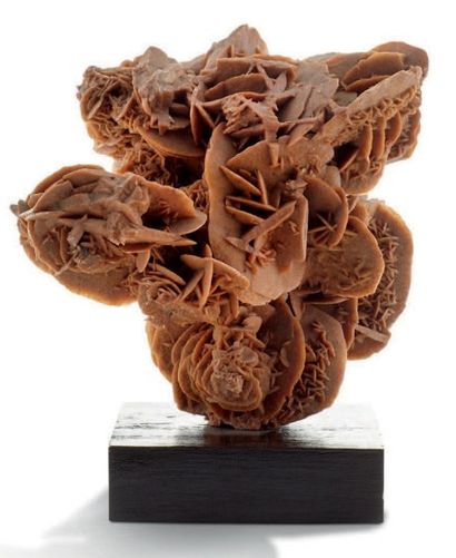 null Rose des sables, gypse, Sahara
Dimensions: 18 x 18 cm