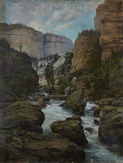 Marius GERBE (XXème) La cascade du moulin des pierres, Bellegarde
Huile sur toile,...