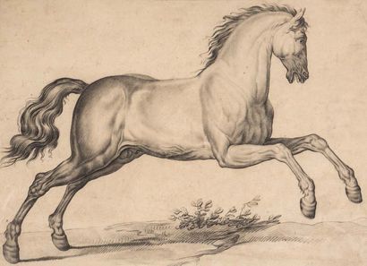 Carle VERNET (Bordeaux 1758 - Paris 1836) Un cheval de profil
Pierre noire
35 x 48...