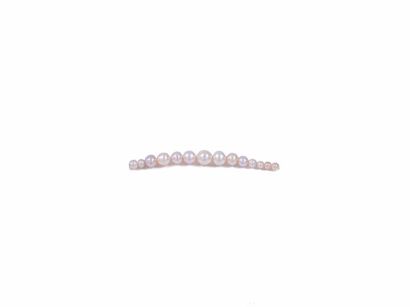null Rang de 14 perles supposées fines - non testées en chute.
Diam.: 3.5 x 7 mm...