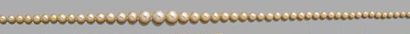 Collier composé de 114 perles supposées fines...