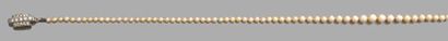 Collier composé de 103 perles supposées fines,...
