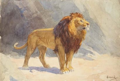 Gustave SURAND (1860 - 1937) Tigre couché et lion debout
Suite d'aquarelles sur papier.
Signées...