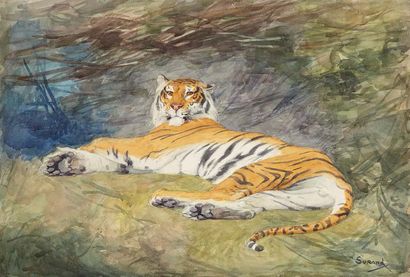 Gustave SURAND (1860 - 1937) Tigre couché et lion debout
Suite d'aquarelles sur papier.
Signées...