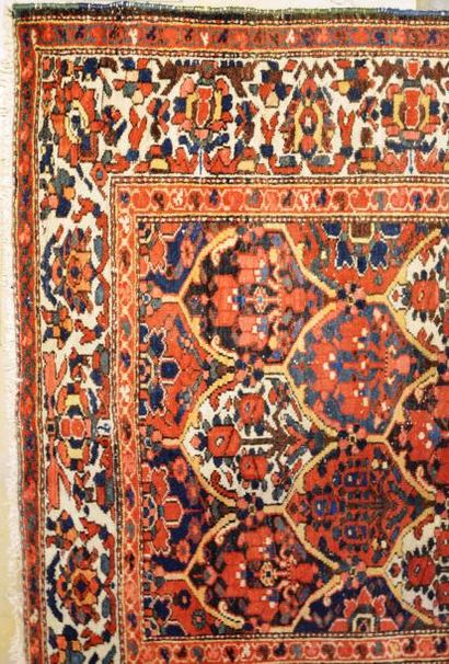 null BAKTIAR (Iran)
Tapis à décor floral à multi médaillons.
Vers 1965
146 x 215...