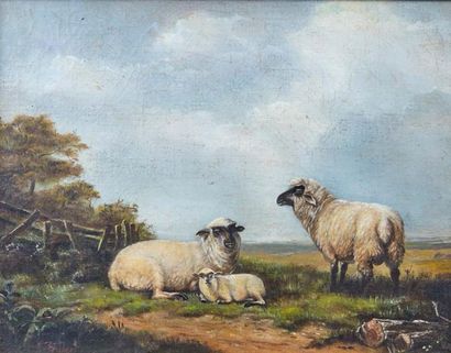 Daniel FOWLER (1810-1894) Le troupeau
Huile sur toile, signée en bas à gauche
27...
